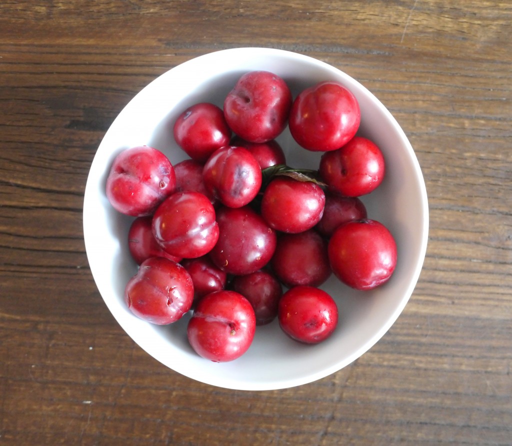 plum bowl