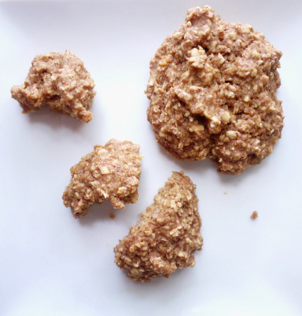 gluten free apple spice oatmeal cookies 4