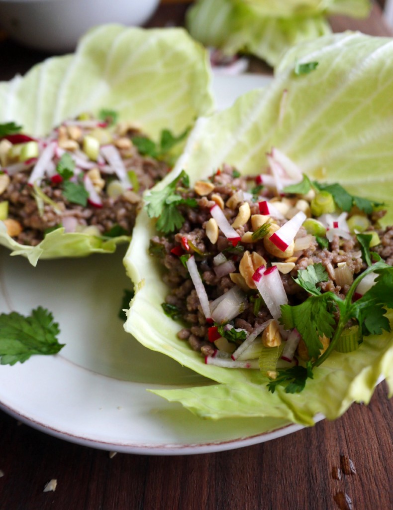 pork salad 6